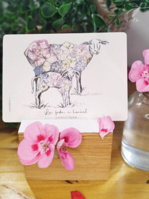 carte-illustrée, la brebis et l'agneau, tatakizome