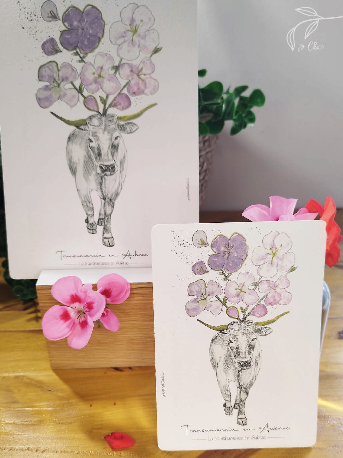 Carte illustrée – Vache d’Aubrac – Tataki Zomé & Feutre fin – Image 2